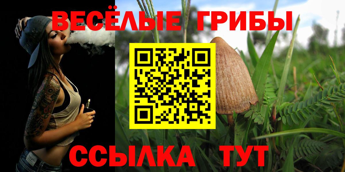 Волхов  Псилоцибиновые грибы Psilocybine cubensis  Галлюциногенные грибы Psilocybe  Вход с VPN 