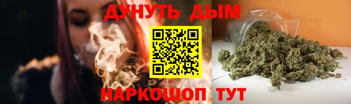 Каннабис сатива Волхов
